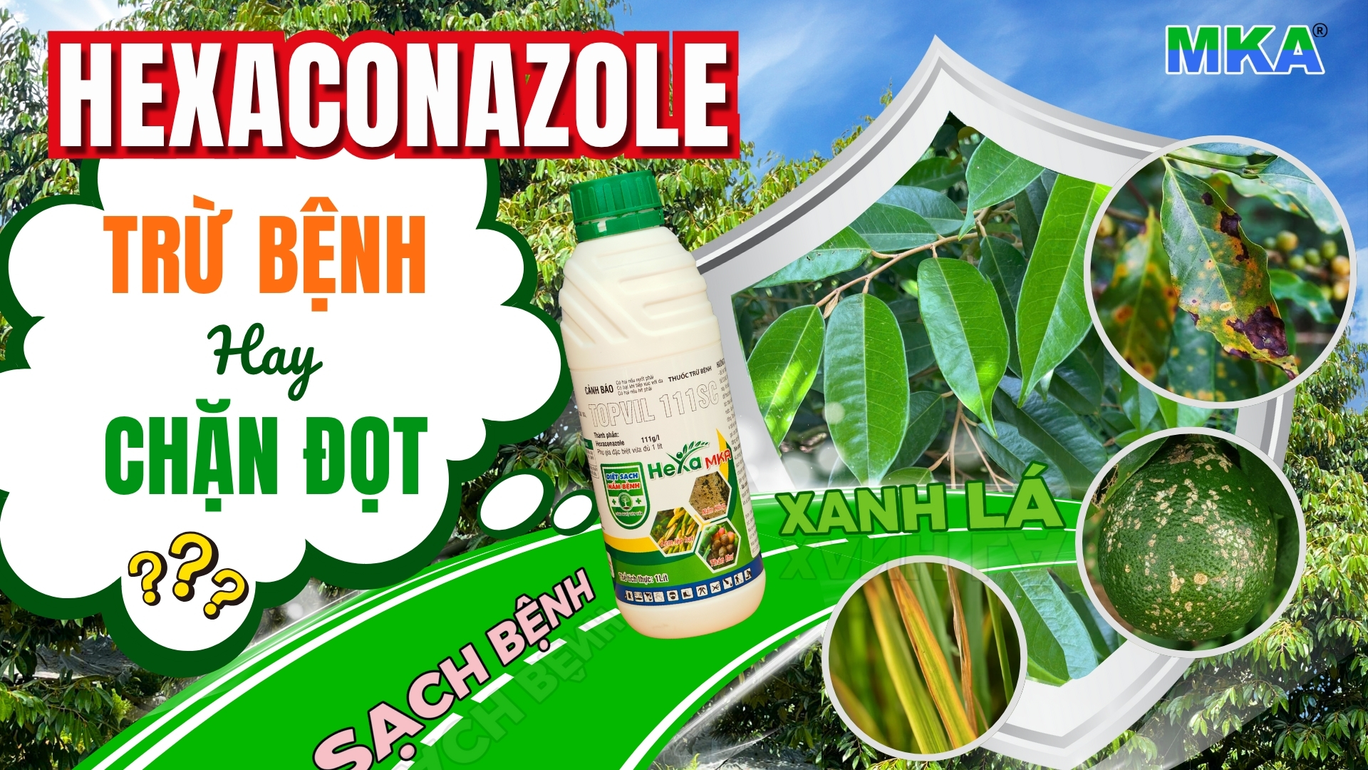 Hoạt chất hexaconazole có dùng chặn đọt được không?